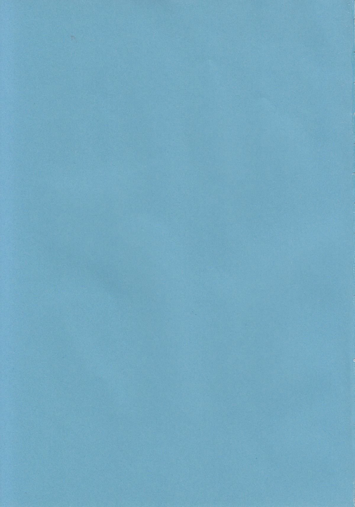 (C88) [ナギヤマスギ (那岐山)] 秘封陵辱4蓮子おくすり実験 (東方Project) [CE家族社] 18