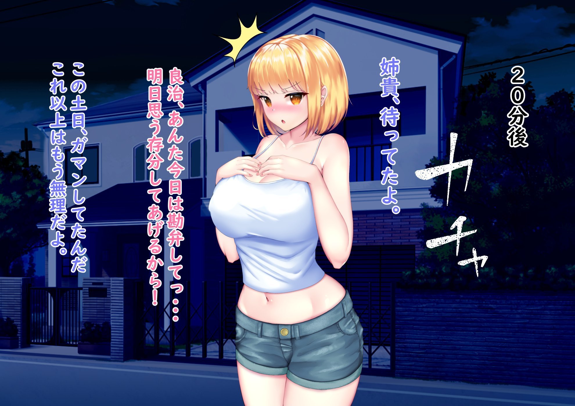 ずっと好きだった姉がデキ婚しやがったので種付けセックスして家族に内緒の関係になった話 89